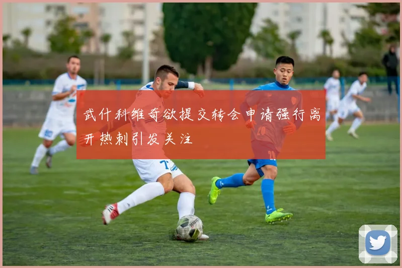 武什科维奇欲提交转会申请强行离开热刺引发关注