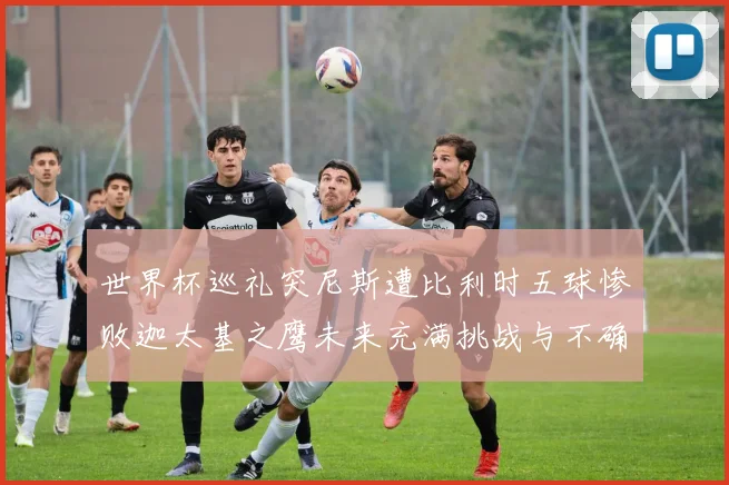 世界杯巡礼突尼斯遭比利时五球惨败迦太基之鹰未来充满挑战与不确定性